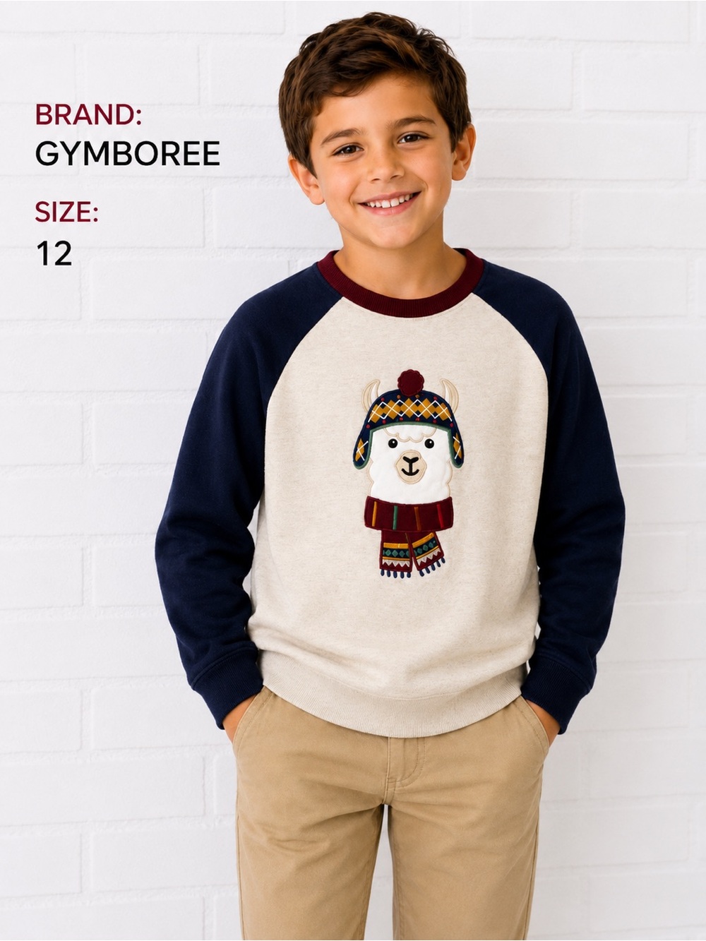 Gymboree Llama Sweatshirt Boys Size 12 Cream Navy Raglan Winter Holiday